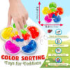 Color Classification Sensory Toys Matching Toys Children's Educational Toys